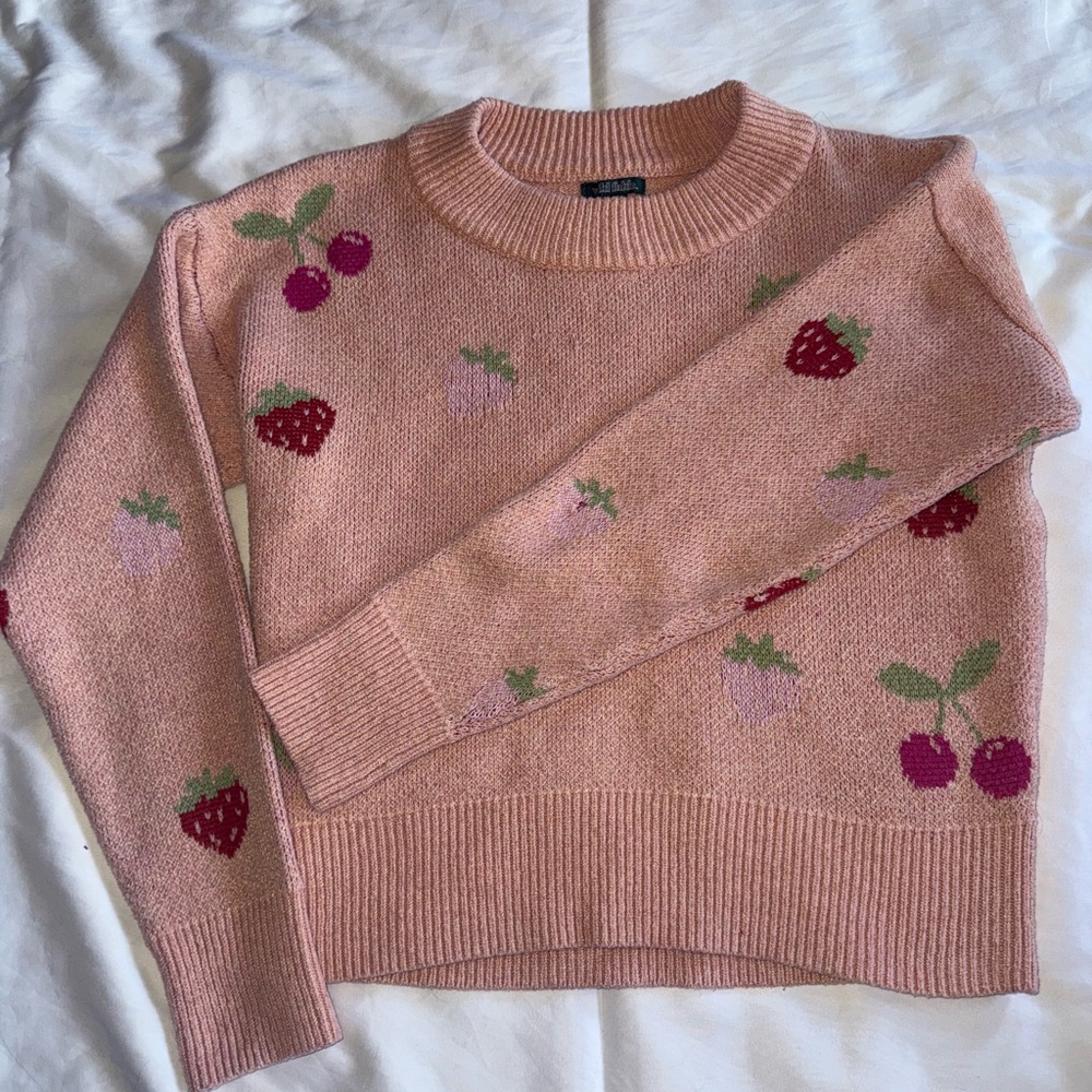 Wild Fable Pink Crew Neck Sweater with Embroidered Fruits